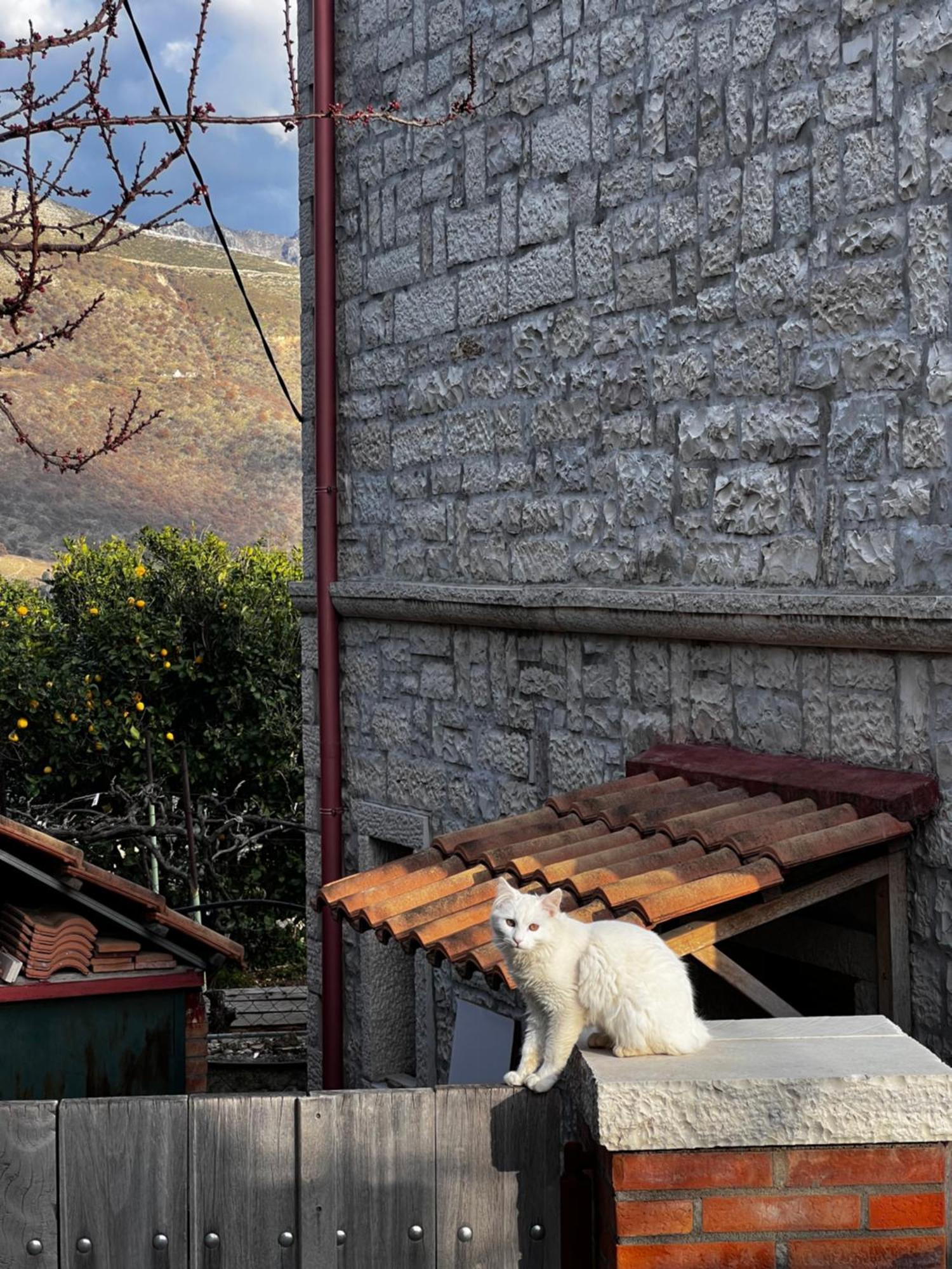 Annapolis Hotel Himare Exterior photo
